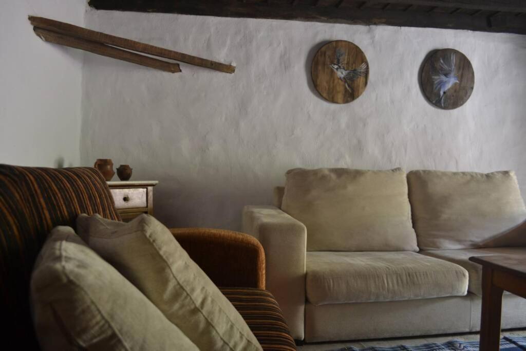 Casa Rural Lomito Del Pino Tejeda  Buitenkant foto