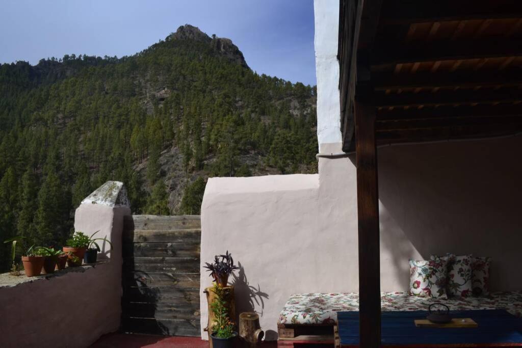 Casa Rural Lomito Del Pino Tejeda  Buitenkant foto