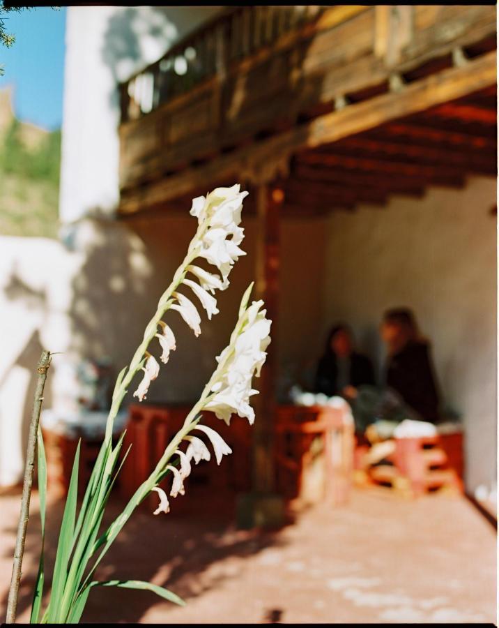 Casa Rural Lomito Del Pino Tejeda  Buitenkant foto