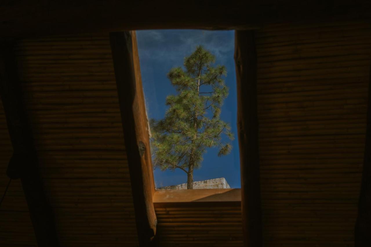 Casa Rural Lomito Del Pino Tejeda  Buitenkant foto