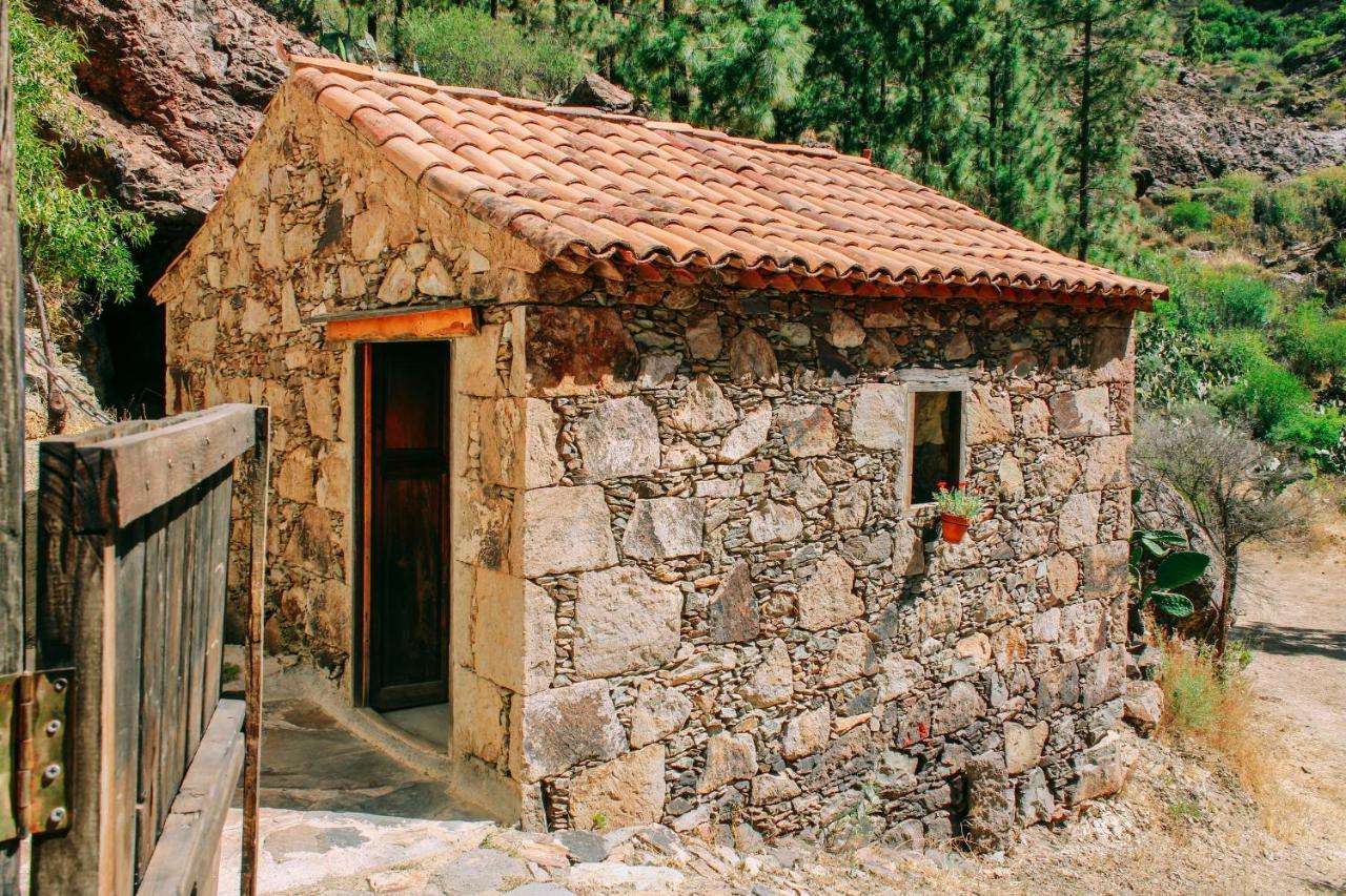 Casa Rural Lomito Del Pino Tejeda  Buitenkant foto