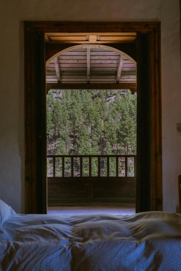 Casa Rural Lomito Del Pino Tejeda  Buitenkant foto